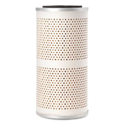 Automotive Fuel Filter,6 in H