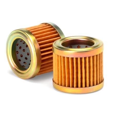Automotive Fuel Filter,3 in H