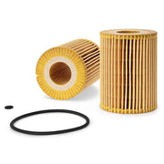 Oil Filter Cellulose Cartrg Metal