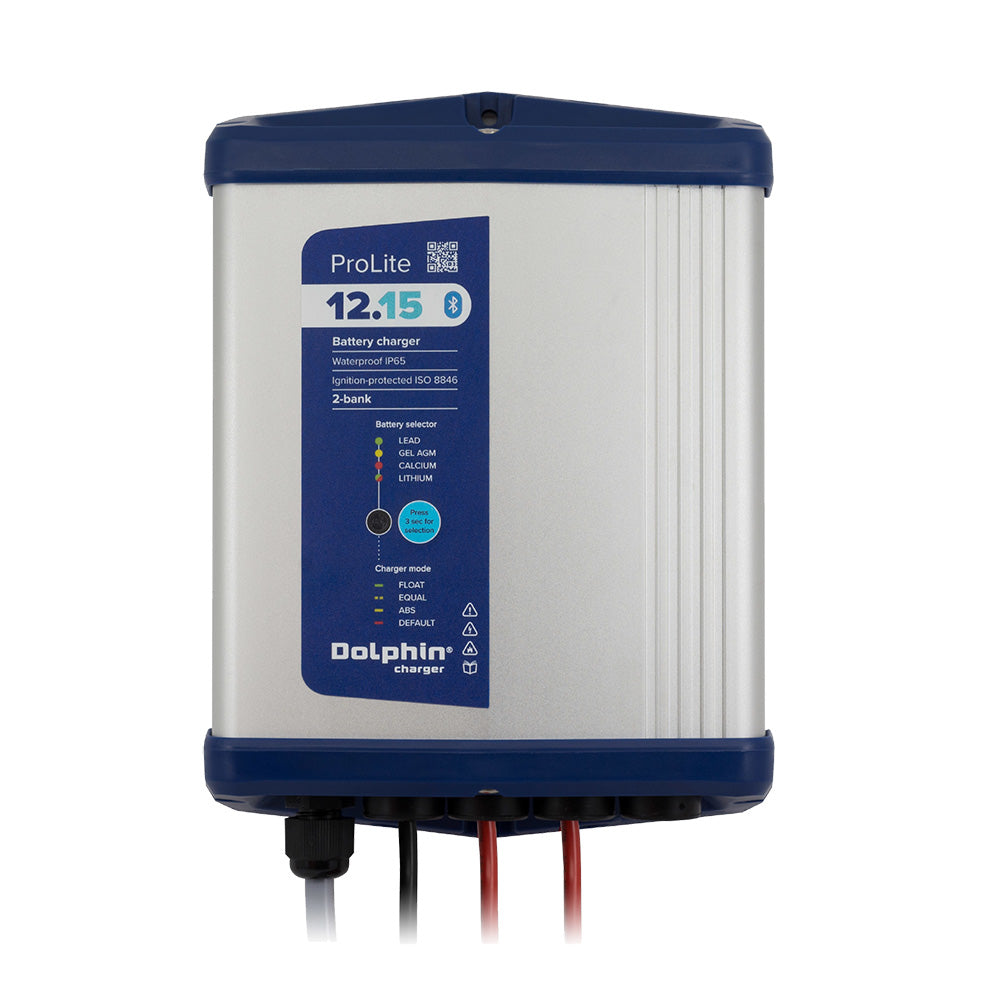 PROLITE Series Battery Charger - 12V, 15A, 110VAC - 2 Outputs