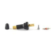 6-211 Replacement Snap-In Valves for TRW Version 4 sensor