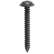 Phillips Flat Washer Head Tapping Screw 8 x 1-1/4" Black