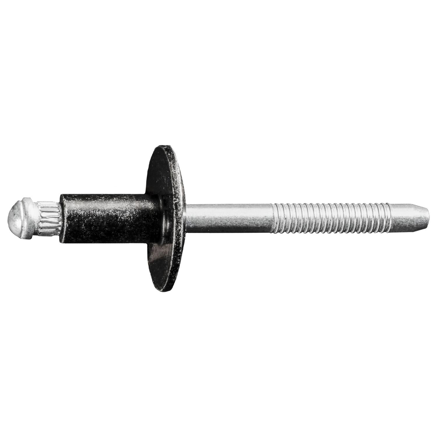 Special Rivet Ford 1/4" Diameter 3/4" Flange Diameter
