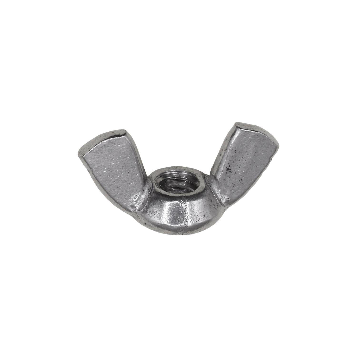 1/4"-20 Wing Nut 18-8 Stainless Steel