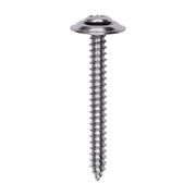 Sems Phillips Oval Tapping Screw #6 Head 8 x 1" 1/2"