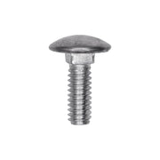 Bumper Bolt Stainless Steel Cap 1/4"-20 x 3/4"