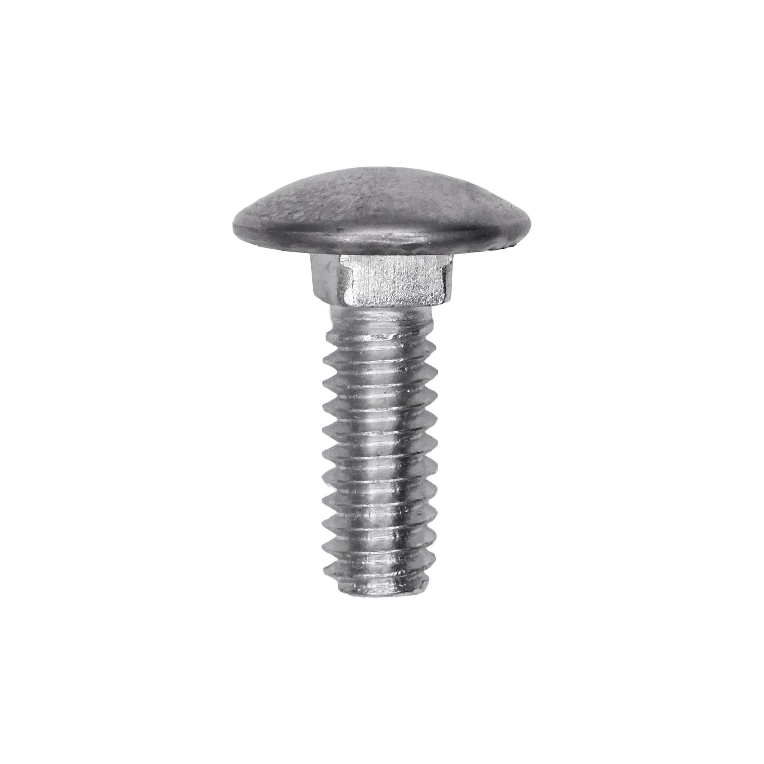 Bumper Bolt Stainless Steel Cap 1/4"-20 x 3/4"