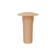 GM Tail Light Screw Grommet