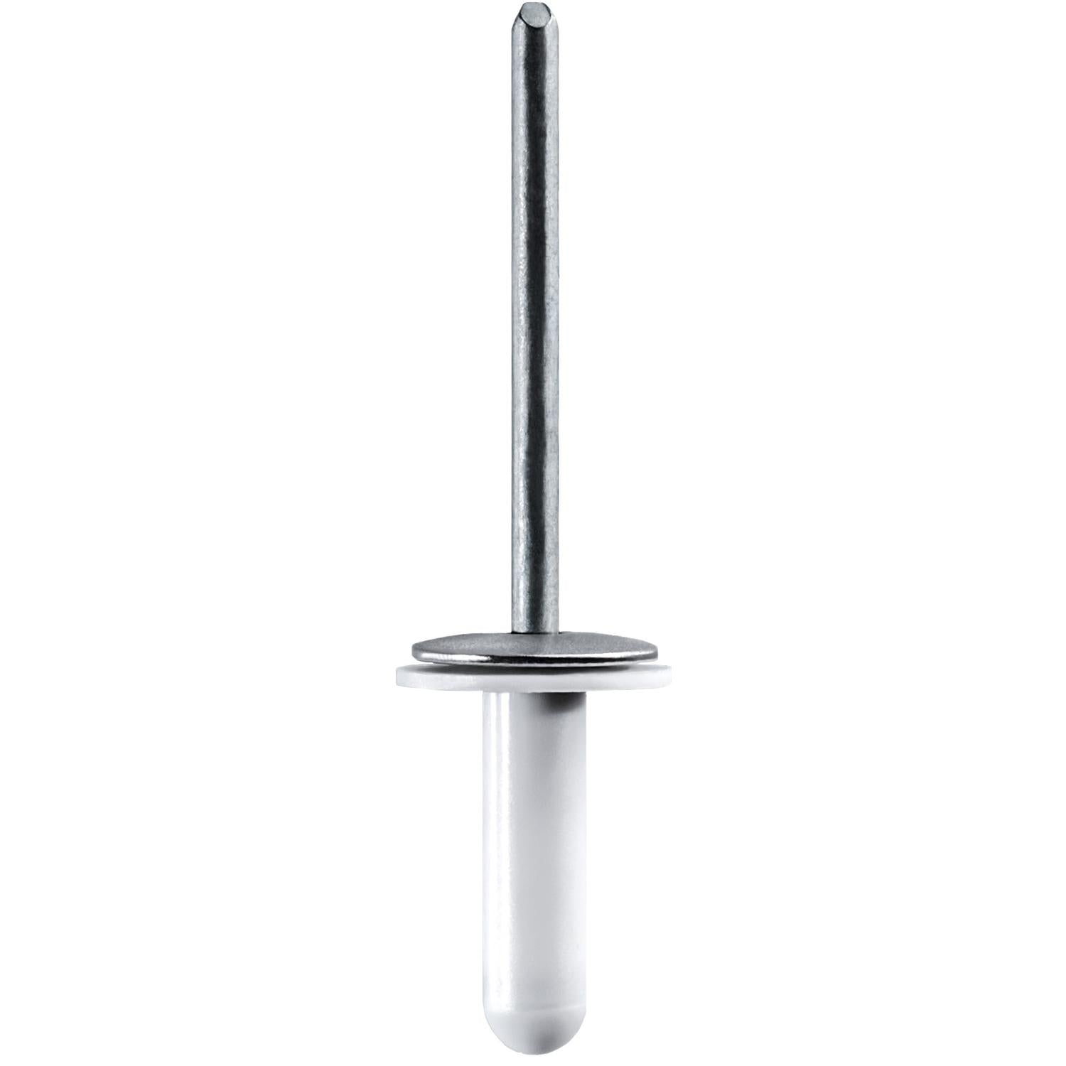 Lexus Specialty Rivet 90269-05065