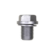 Hyundai And Kia Oil Drain Plug with Gasket