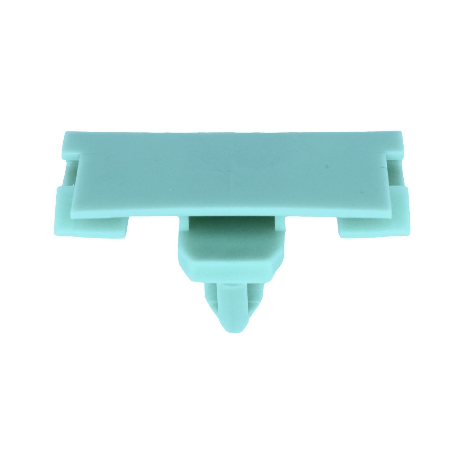 GM Moulding Clip