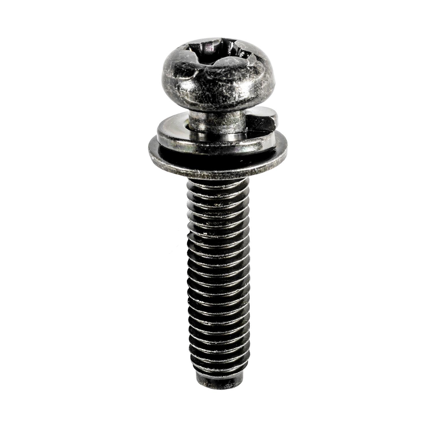 Phillips Round Head License Plate Screw M6-1.0 x 29mm