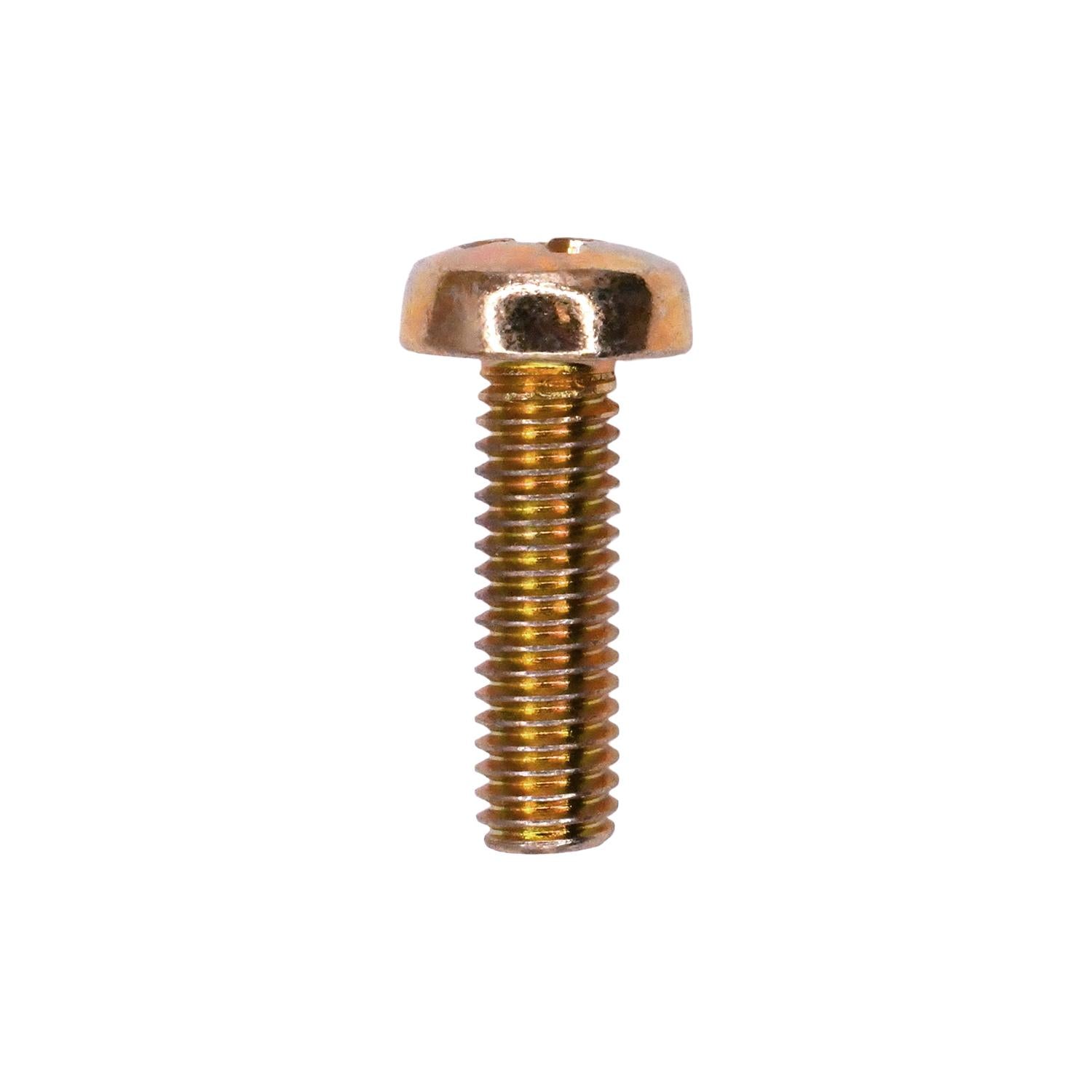 Phillips Pan Head License Plate Screw M6-1.0 x 20mm