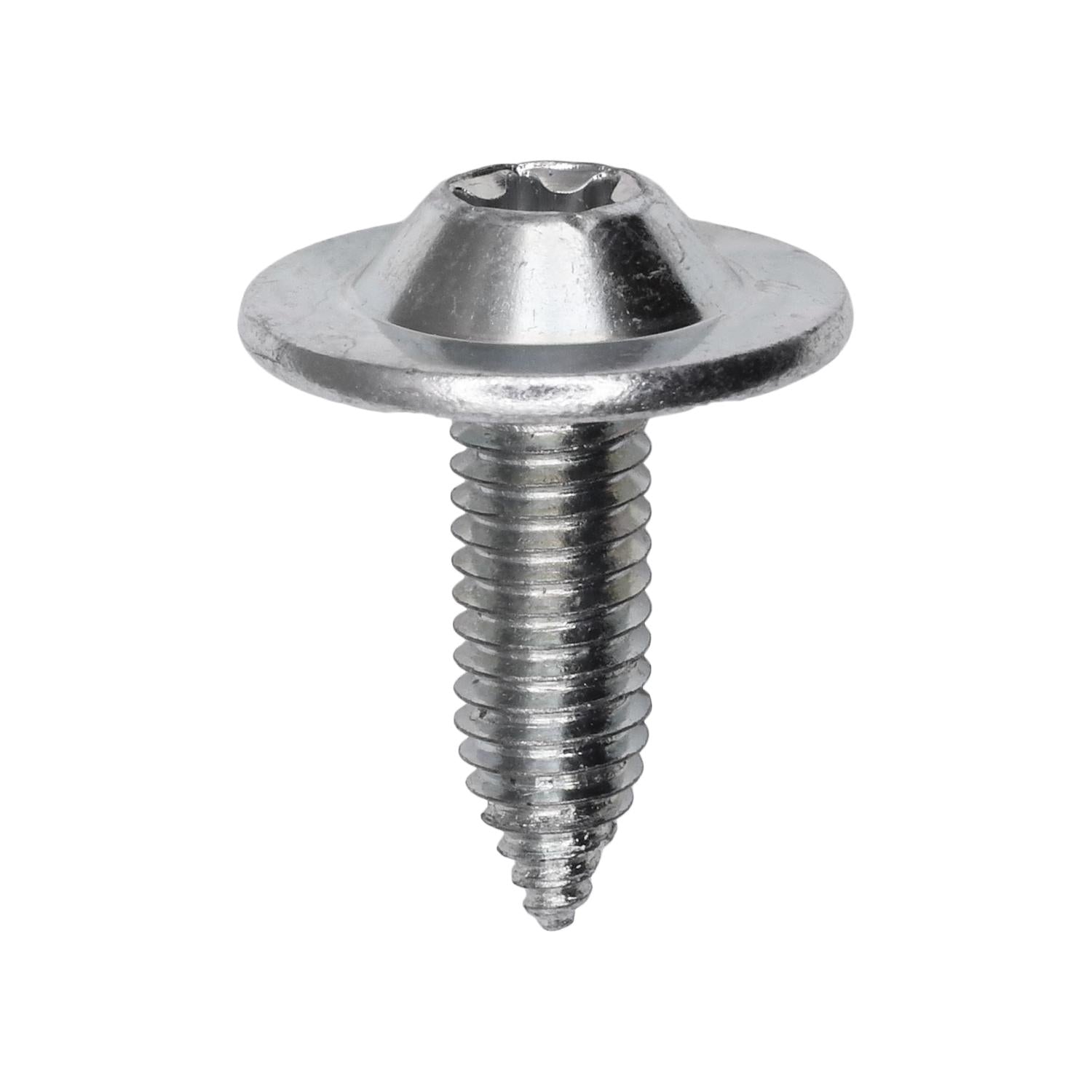 Torx Round Washer Head Body Bolt withCa Point M6-1.0 x 20mm
