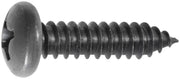 Phillips Pan Head Tapping Screw #14 x 1" - Black