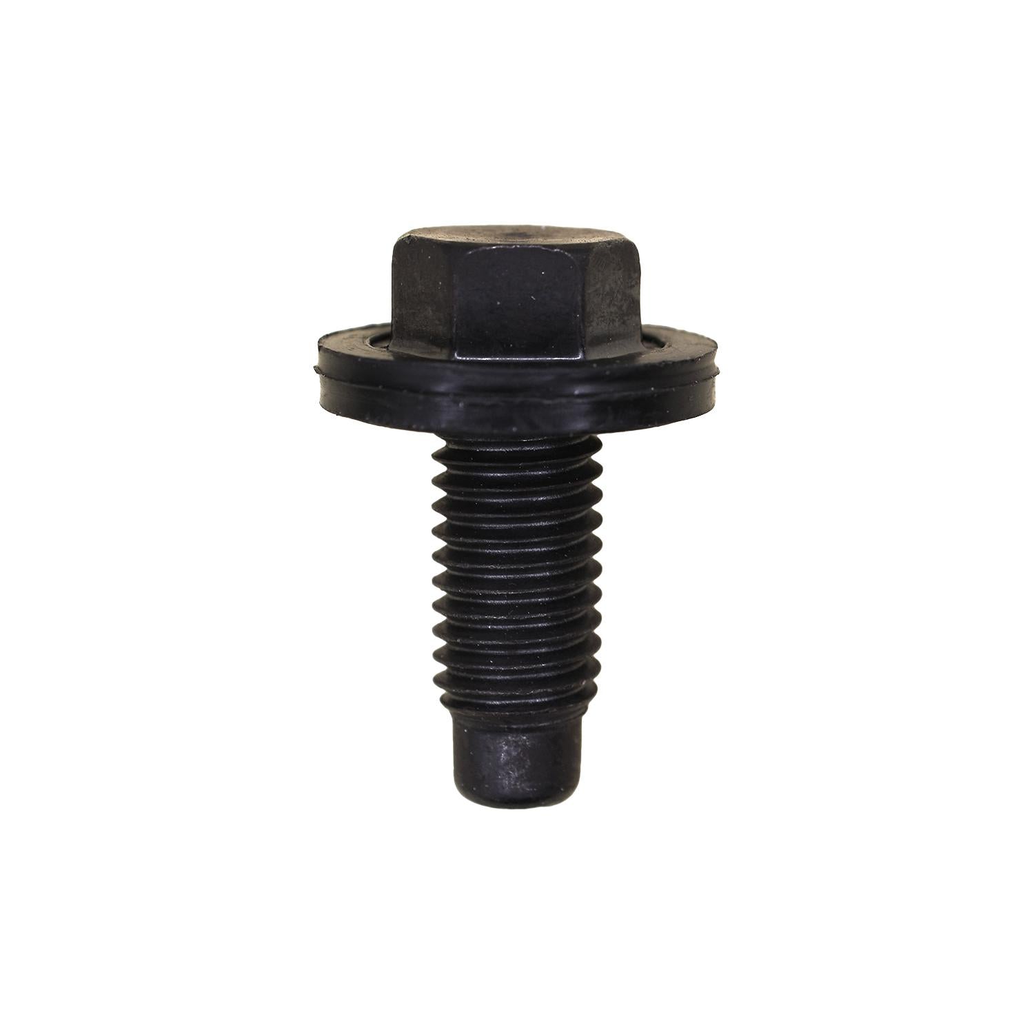 Drain Plug M12-1.75