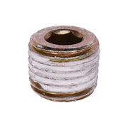 1/4" Japanese Pipe Plug