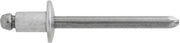 Blind Rivet 1/4" Diameter 1/64-1/8" Grip