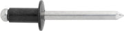 Blind Rivet 1/4" Diameter 1/16-1/4" Grip