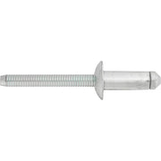 Blind Rivet 1/4" 6.3mm Steel Mandrel & Rivet
