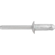 Blind Rivet 1/4" 6.3mm Steel Mandrel & Rivet