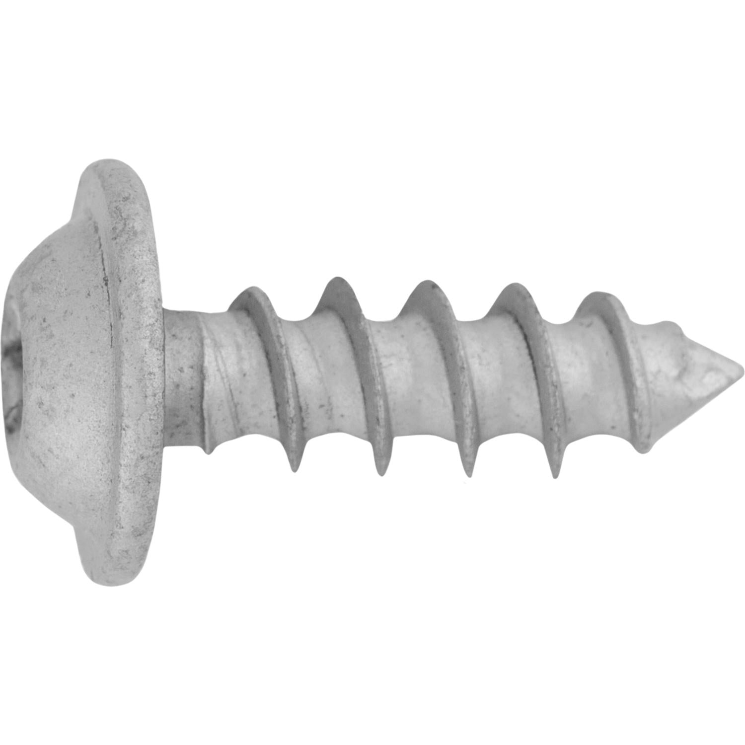 BMW Window Moulding And License Plate Bracket Screw