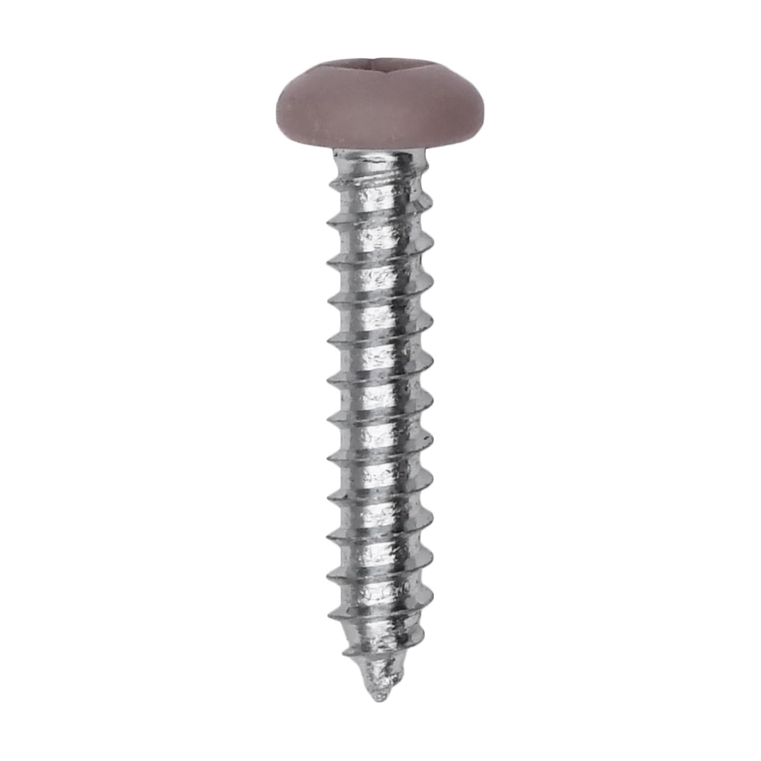 6 x 3/4" Tan Painted Square Drive Pan Head Tapping Screw