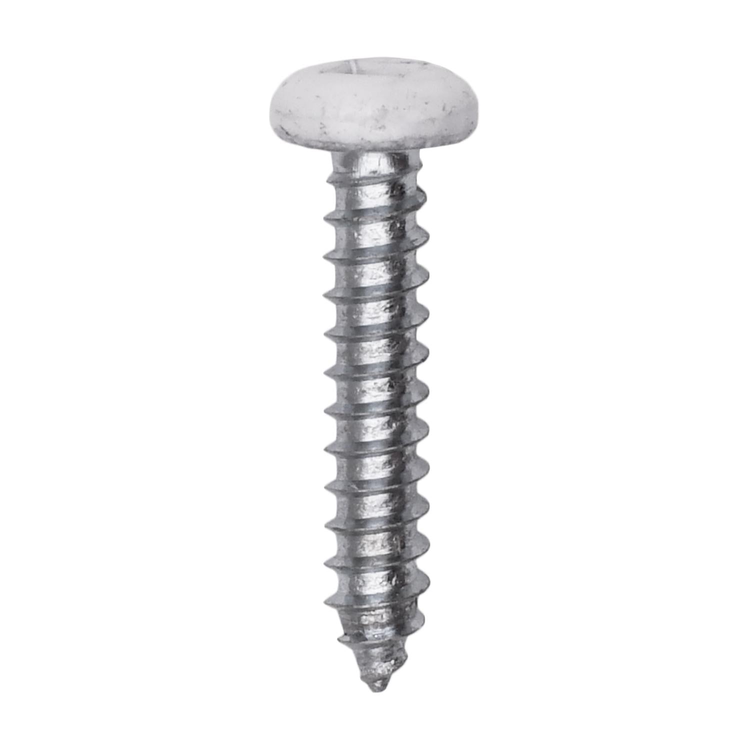 6 x 3/4" White Painted Square Drive Pan Head Tapping Screw