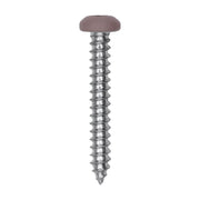 6 x 1" Tan Painted Square Drive Pan Head Tapping Screw