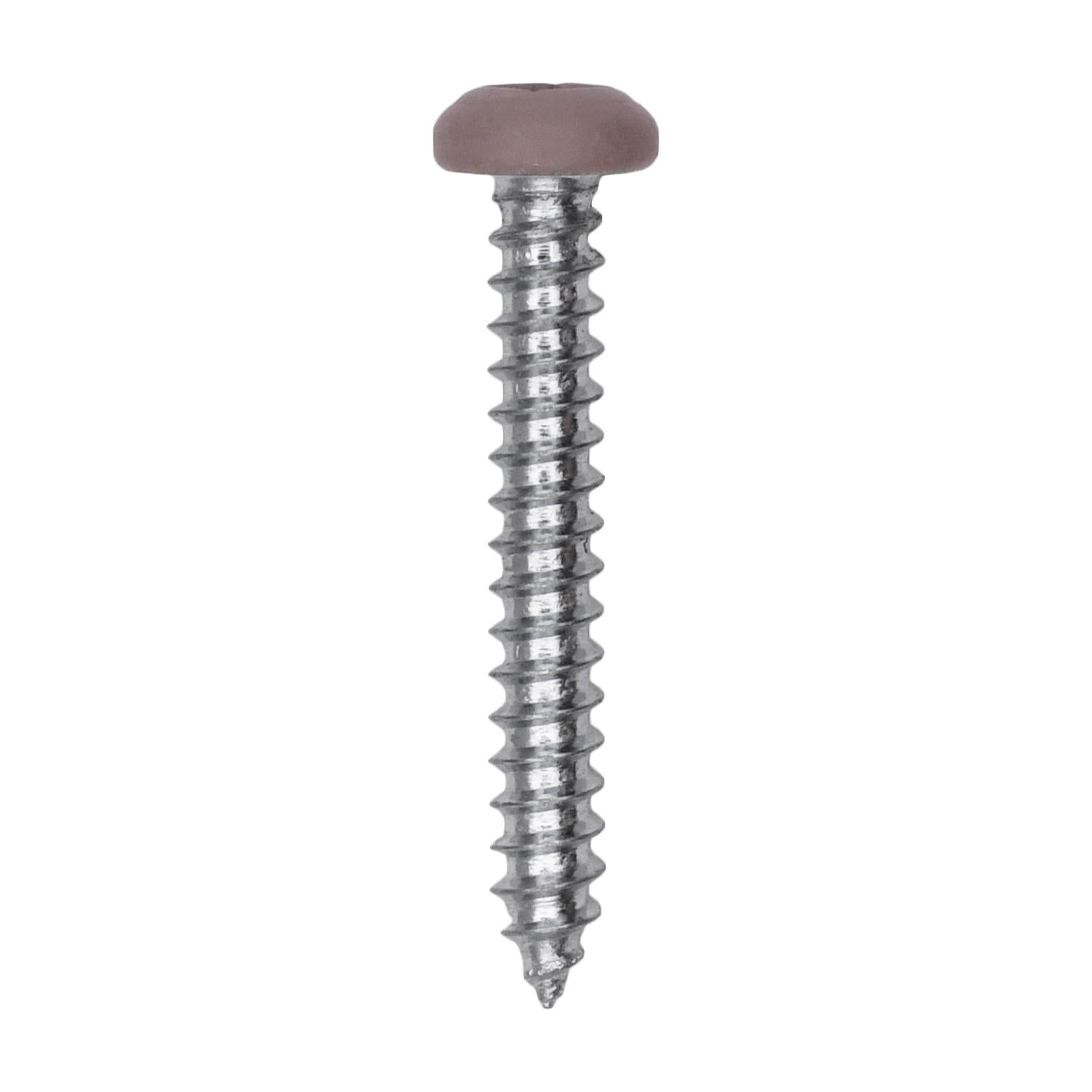 6 x 1" Tan Painted Square Drive Pan Head Tapping Screw