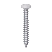6 x 1" White Painted Square Drive Pan Head Tapping Screw