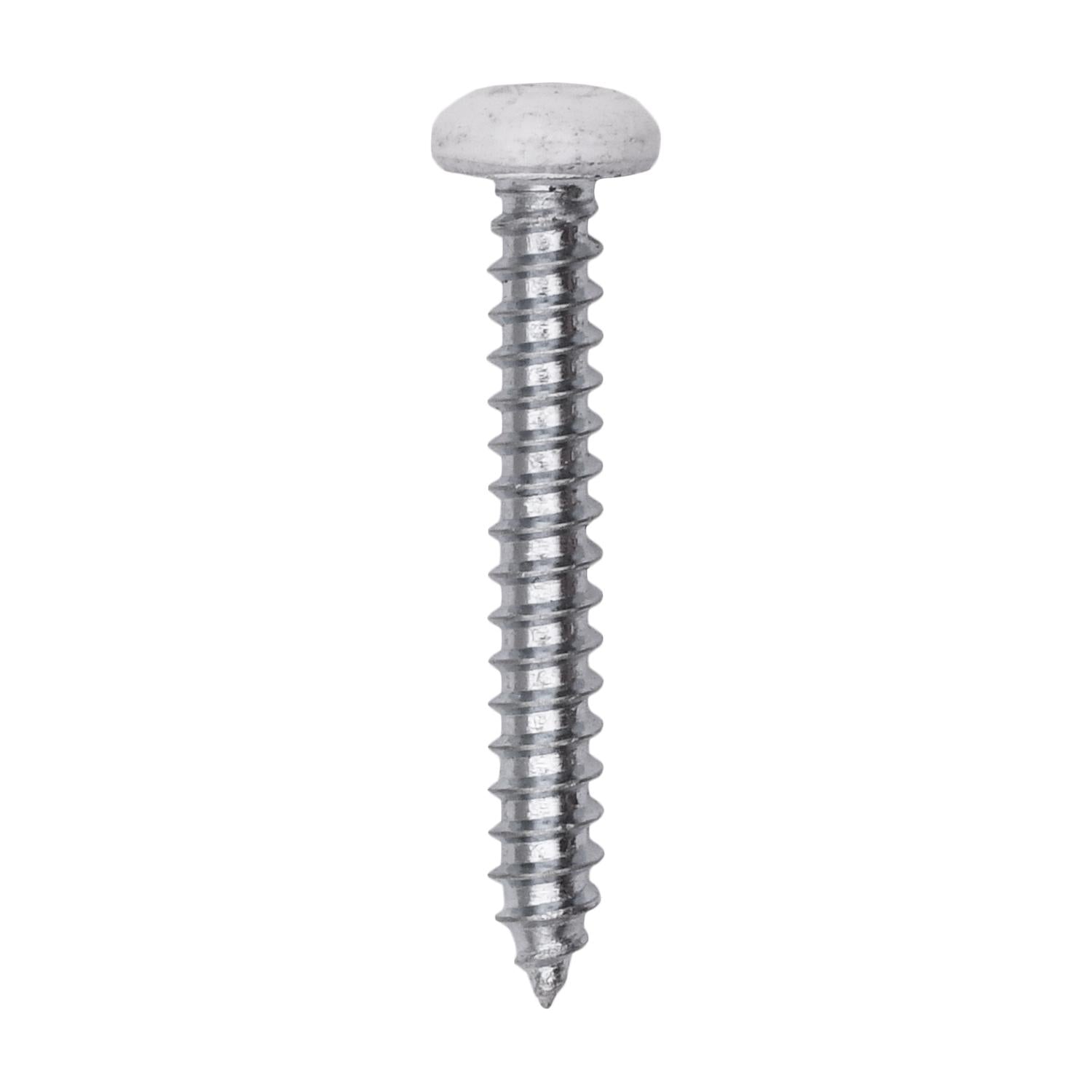6 x 1" White Painted Square Drive Pan Head Tapping Screw