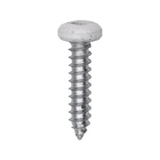 8 x 3/4" White Painted Square Drive Pan Head Tapping Screw