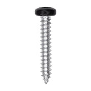 8 x 1" Black Painted Square Drive Pan Head Tapping Screw