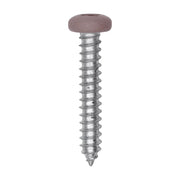 8 x 1" Tan Painted Square Drive Pan Head Tapping Screw