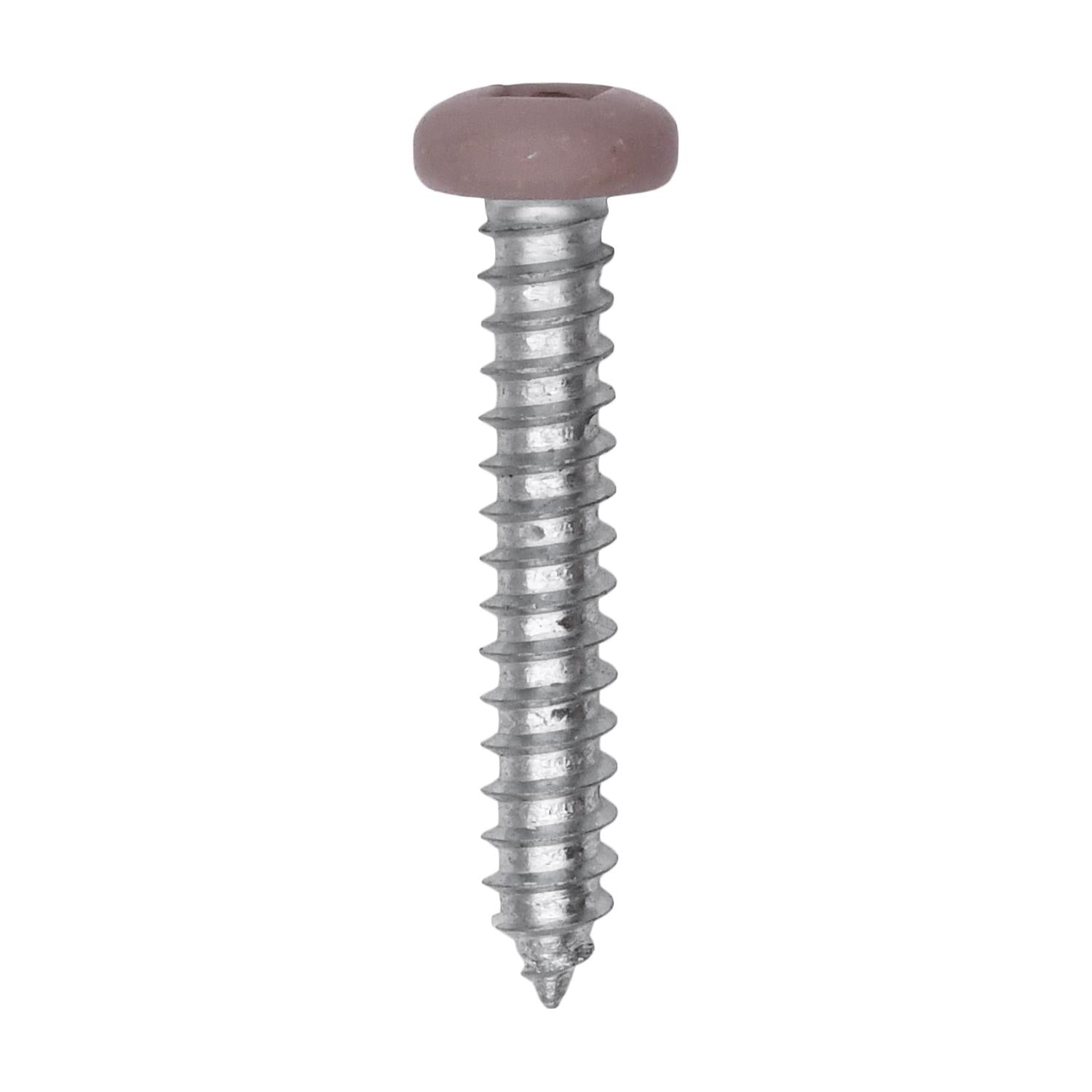 8 x 1" Tan Painted Square Drive Pan Head Tapping Screw