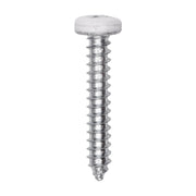 8 x 1" White Painted Square Drive Pan Head Tapping Screw