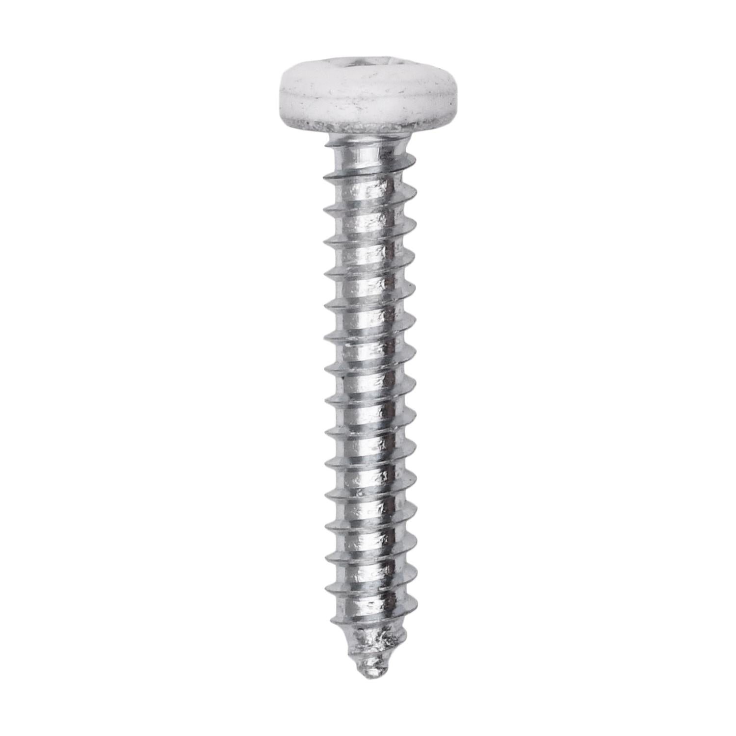 8 x 1" White Painted Square Drive Pan Head Tapping Screw