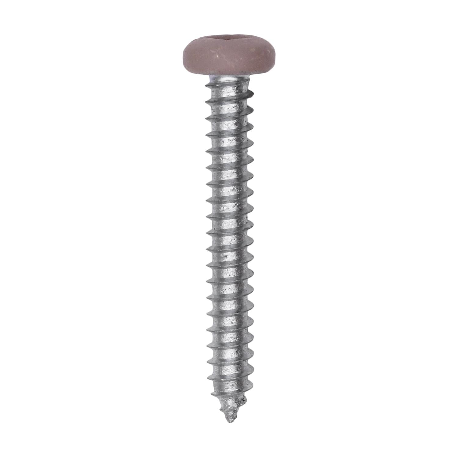 8 x 1-1/4" Tan Painted Square Drive Pan Head Tapping Screw