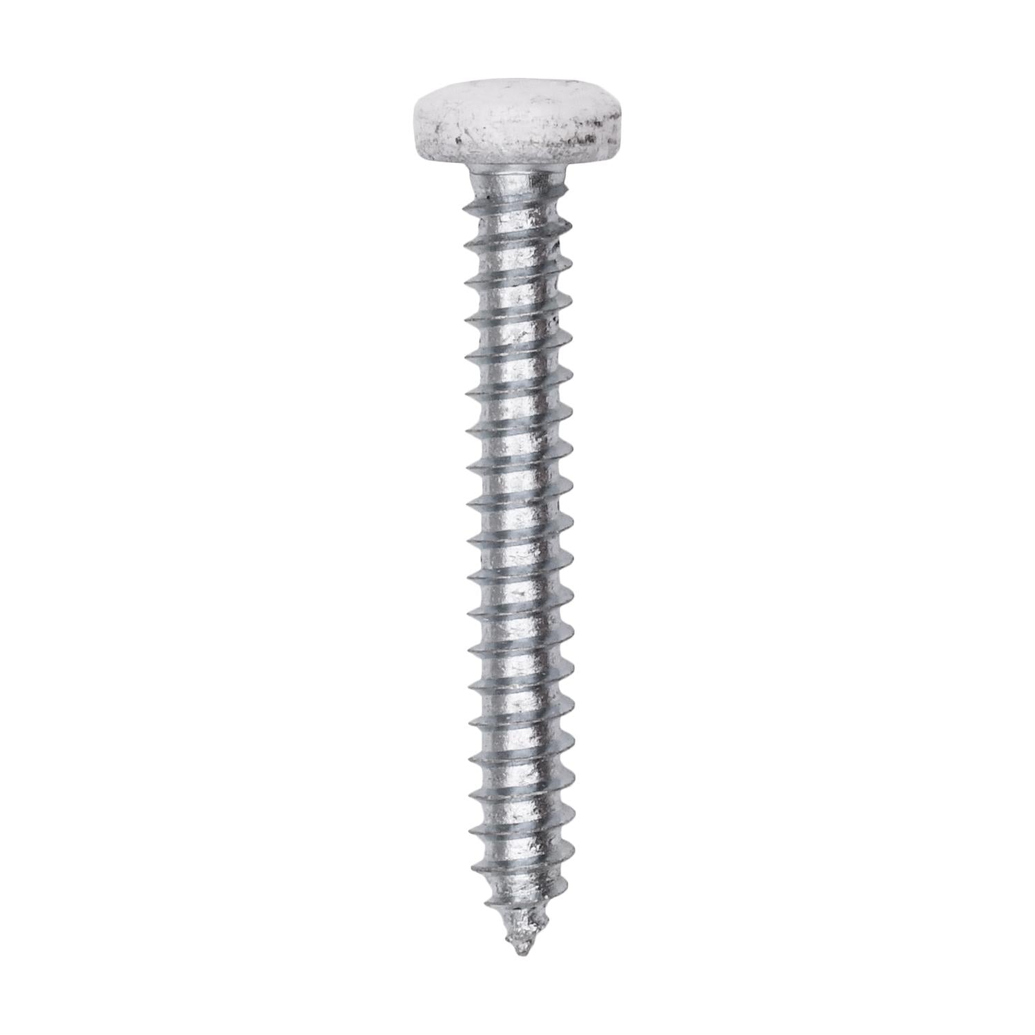 8 x 1-1/4" White Painted Square Drive Pan Head Tapping Screw