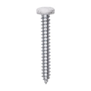 8 x 1-1/4" White Painted Square Drive Pan Head Tapping Screw