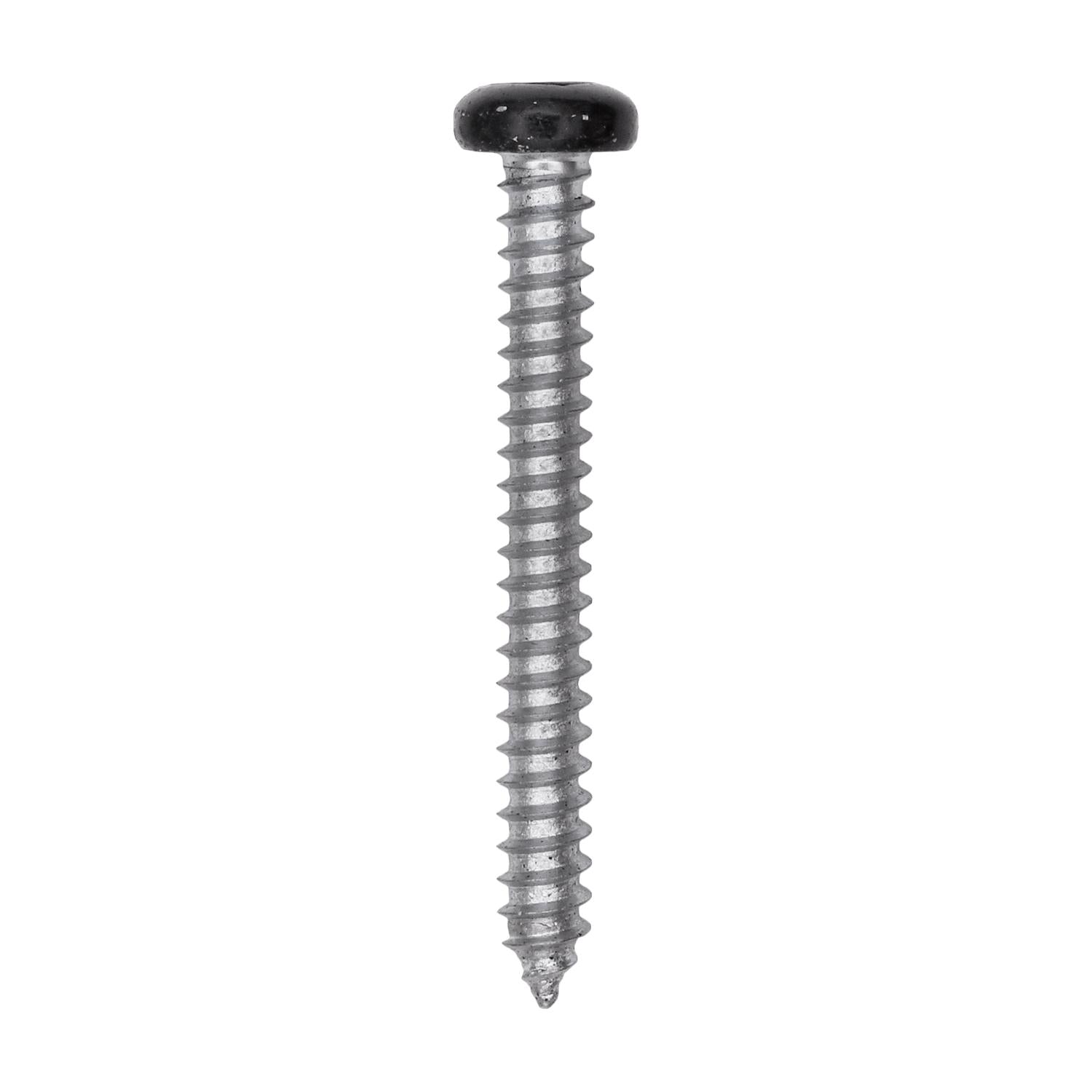 8 x 1-1/2" Black Painted Square Drive Pan Head Tapping Screw