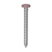 8 x 1-1/2" Tan Painted Square Drive Pan Head Tapping Screw