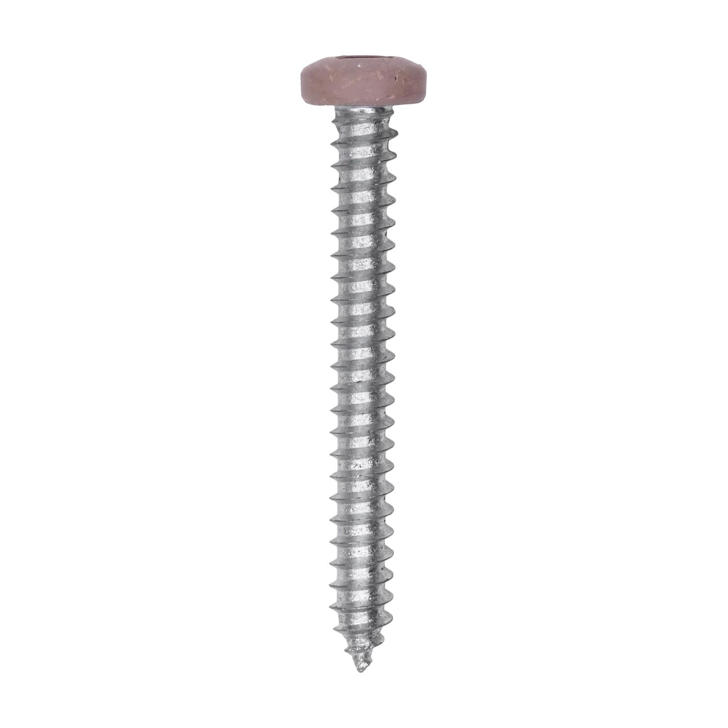 8 x 1-1/2" Tan Painted Square Drive Pan Head Tapping Screw