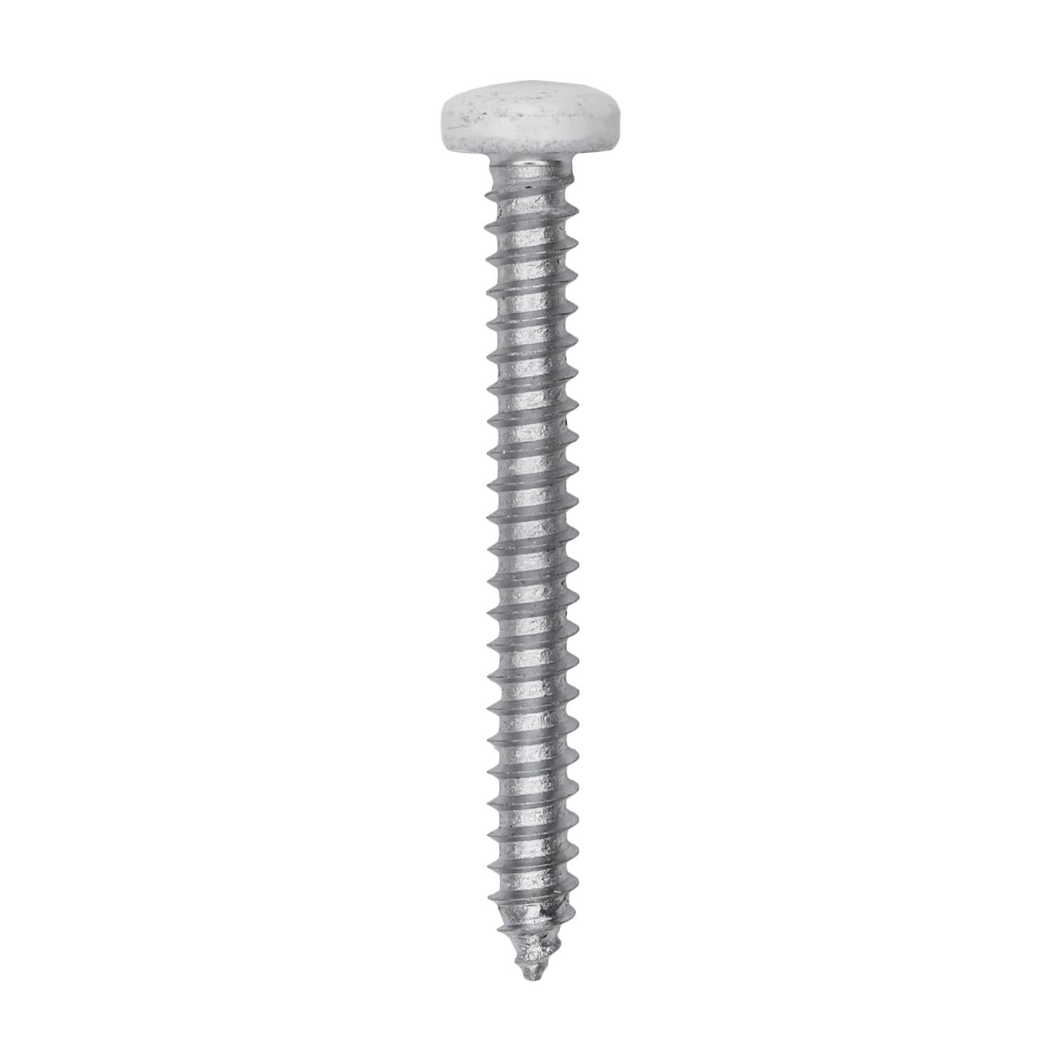 8 x 1-1/2" White Painted Square Drive Pan Head Tapping Screw