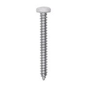8 x 1-1/2" White Painted Square Drive Pan Head Tapping Screw