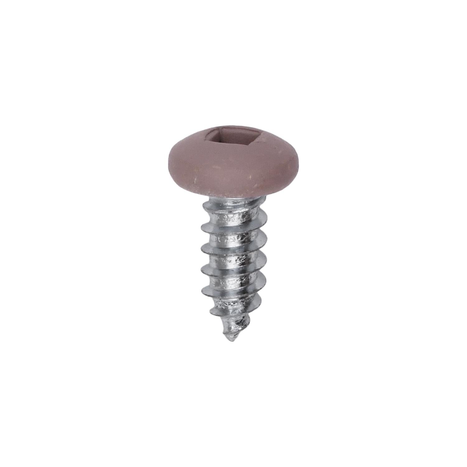 10 x 1/2" Tan Painted Square Drive Pan Head Tapping Screw