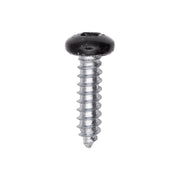 10 x 3/4" Black Painted Square Drive Pan Head Tapping Screw