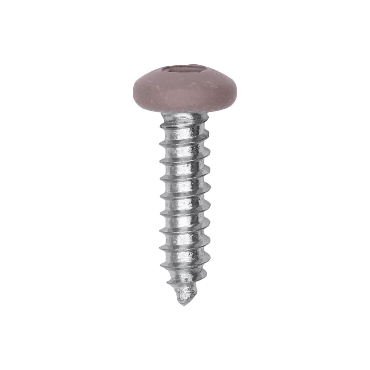 10 x 3/4" Tan Painted Square Drive Pan Head Tapping Screw