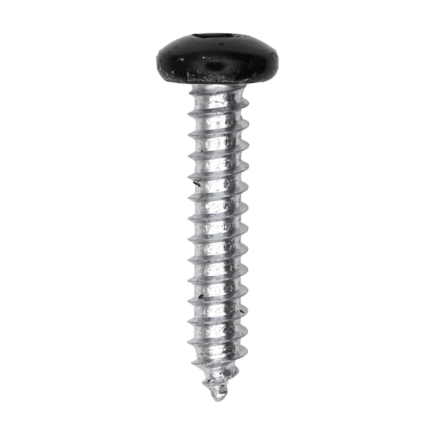 10 x 1" Black Painted Square Drive Pan Head Tapping Screw